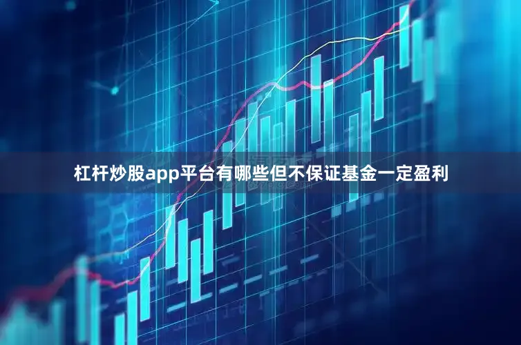 杠杆炒股app平台有哪些但不保证基金一定盈利
