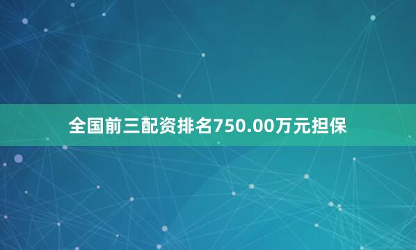 全国前三配资排名750.00万元担保