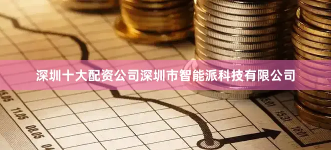 深圳十大配资公司深圳市智能派科技有限公司