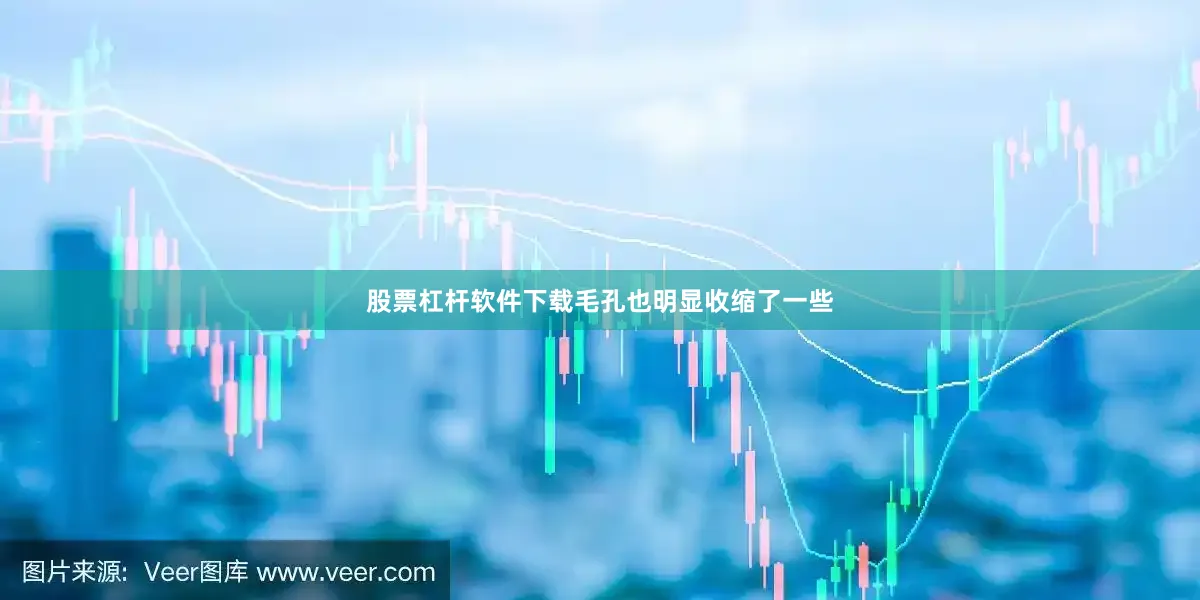 股票杠杆软件下载毛孔也明显收缩了一些